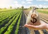 Farm financing