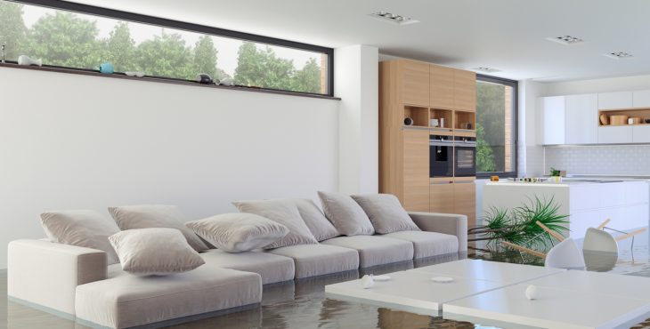 Impact of floods on home prices