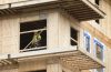 Housing starts January 2025