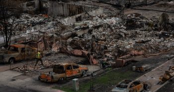 Jasper wildfire rebuild